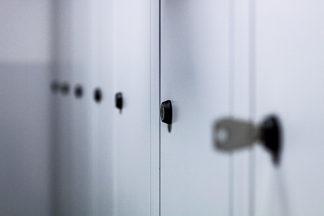 De veelzijdigheid van lockerkasten in moderne werkplekken