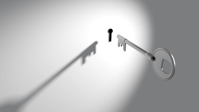 De kunst van toegangscontrole: essentieel voor veiligheid en privacy